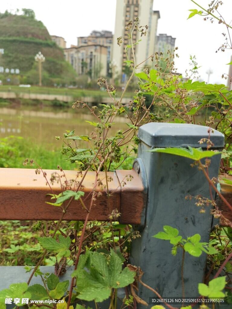 戶外綠植旁的藍(lán)色箱體