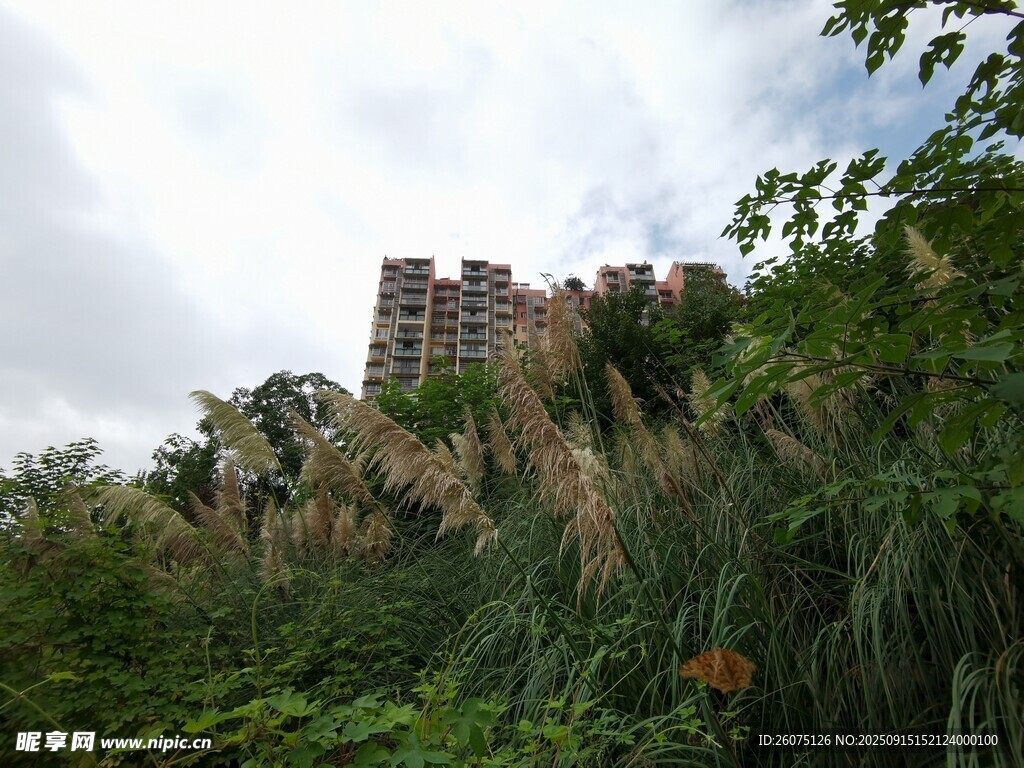 山林間的古老城堡遺跡