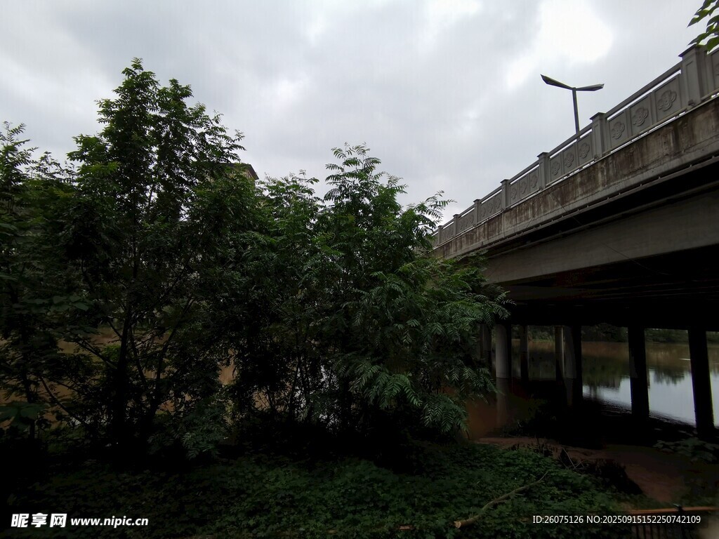 橋下綠植景觀