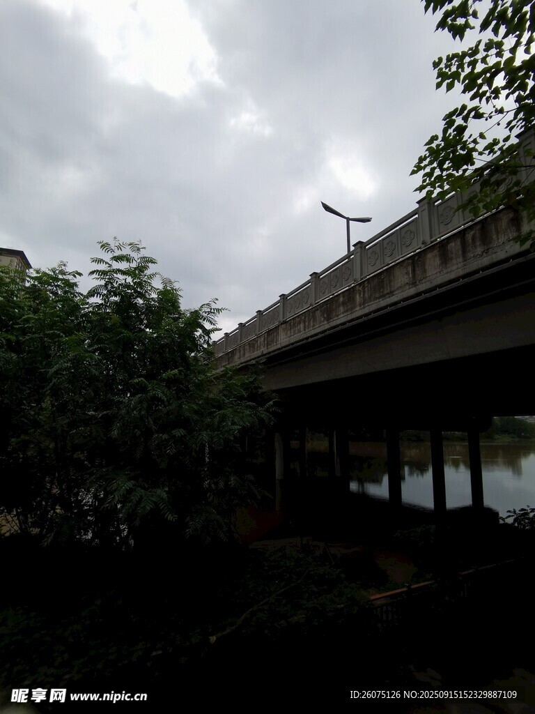 陰天中的建筑與綠植景觀