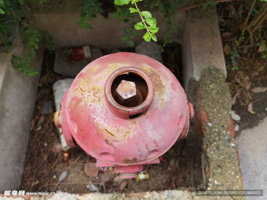 老舊粉色消防栓