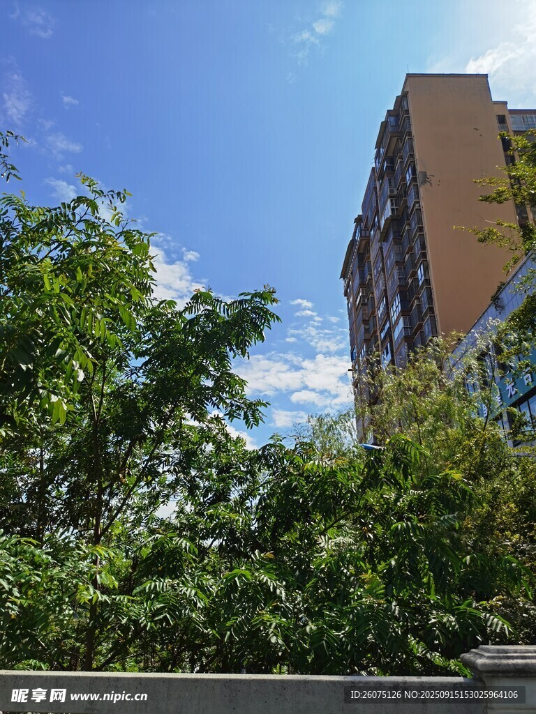 綠樹掩映下的城市建筑
