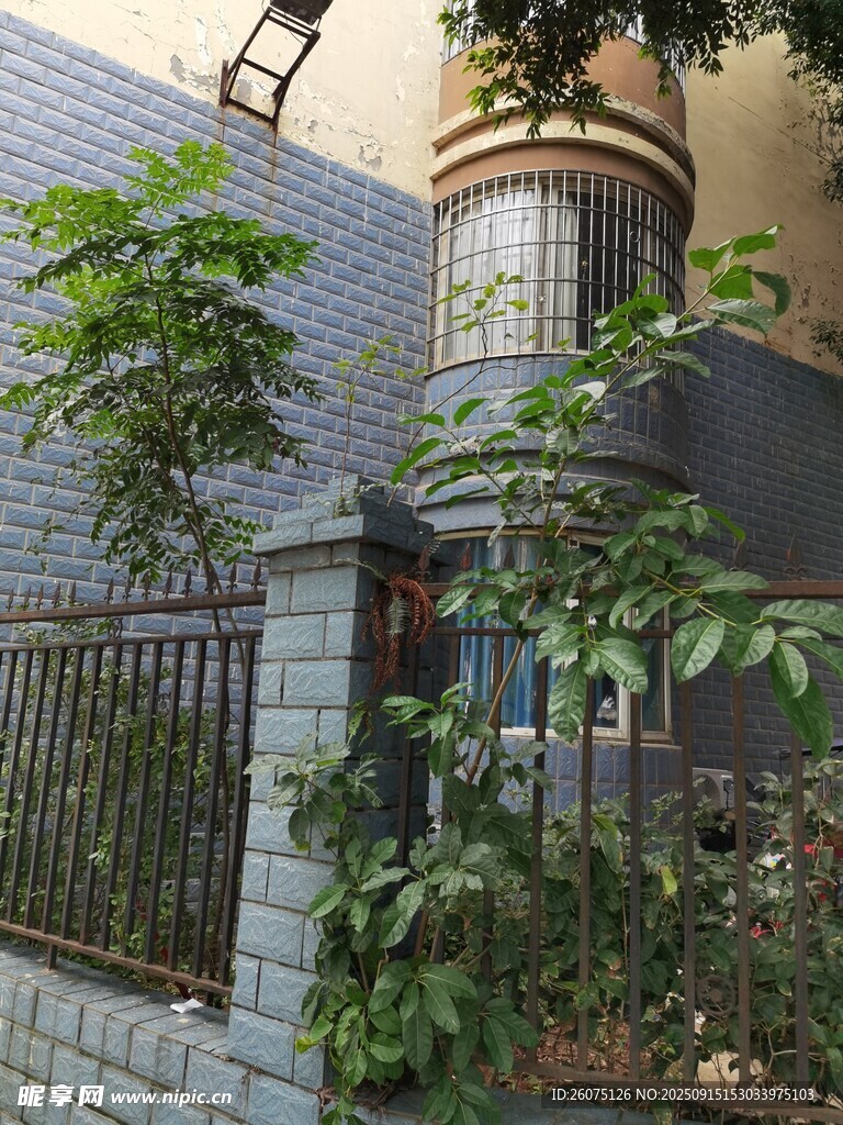 庭院綠植環(huán)繞的別致建筑