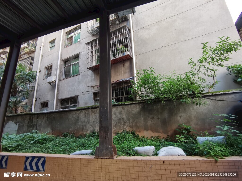 老舊居民樓外的綠植景觀