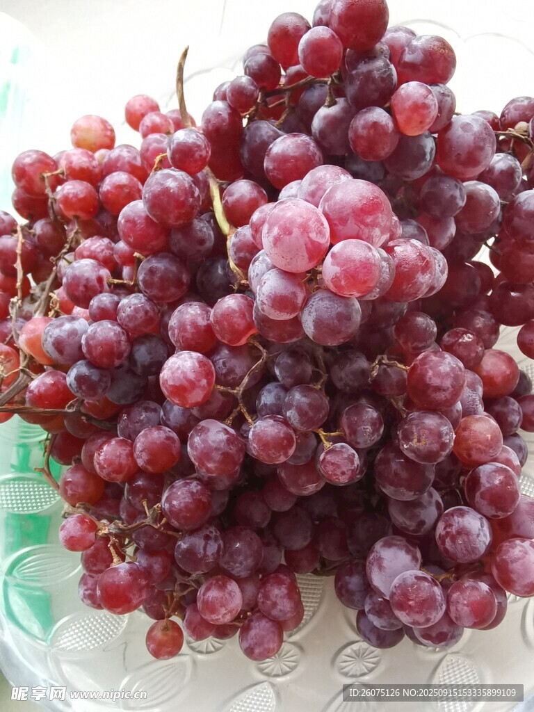新鮮紫葡萄色澤誘人