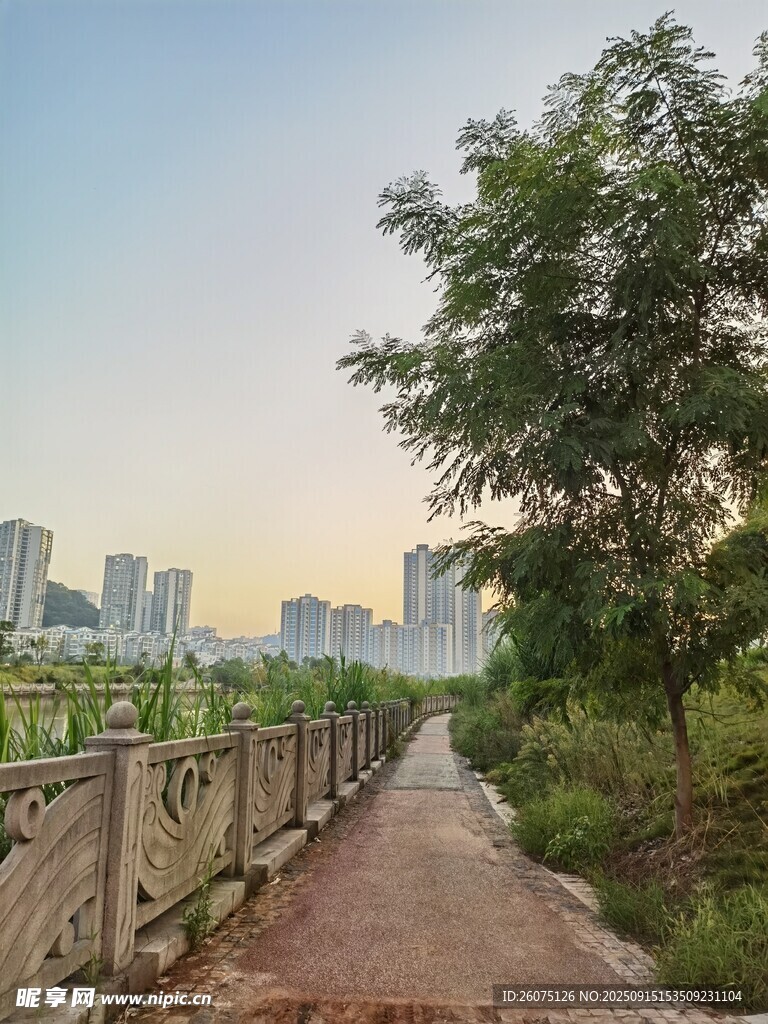 城市河畔的靜謐步道