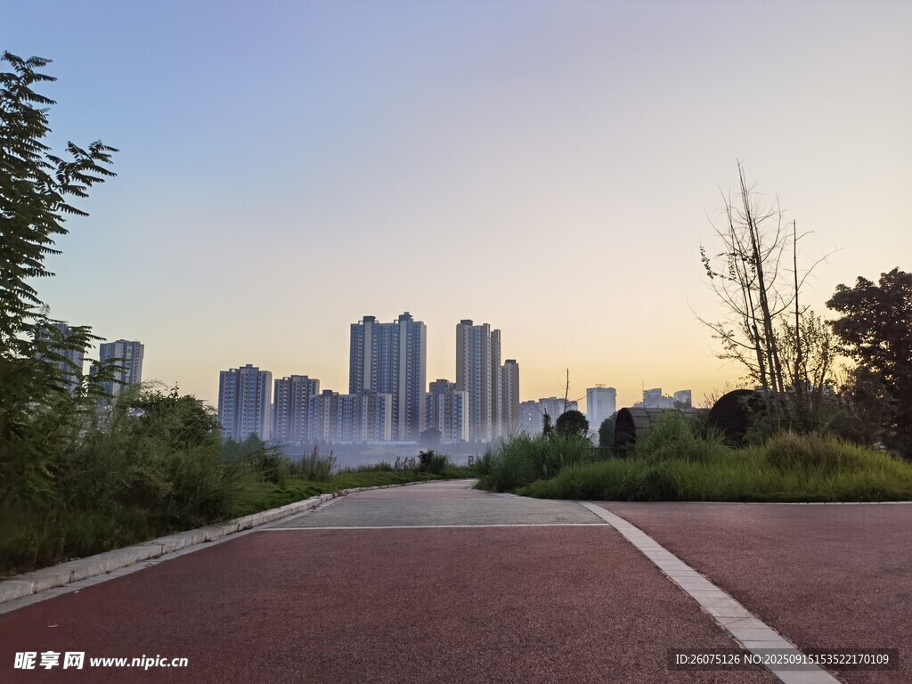城市黃昏下的林蔭步道
