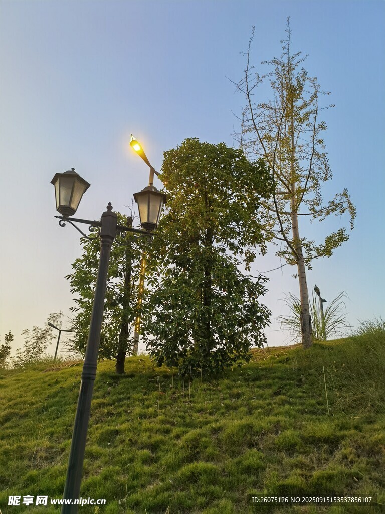 夕陽下的草地與路燈