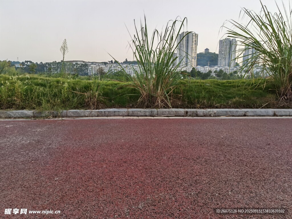 城市邊的紅色路面與綠植