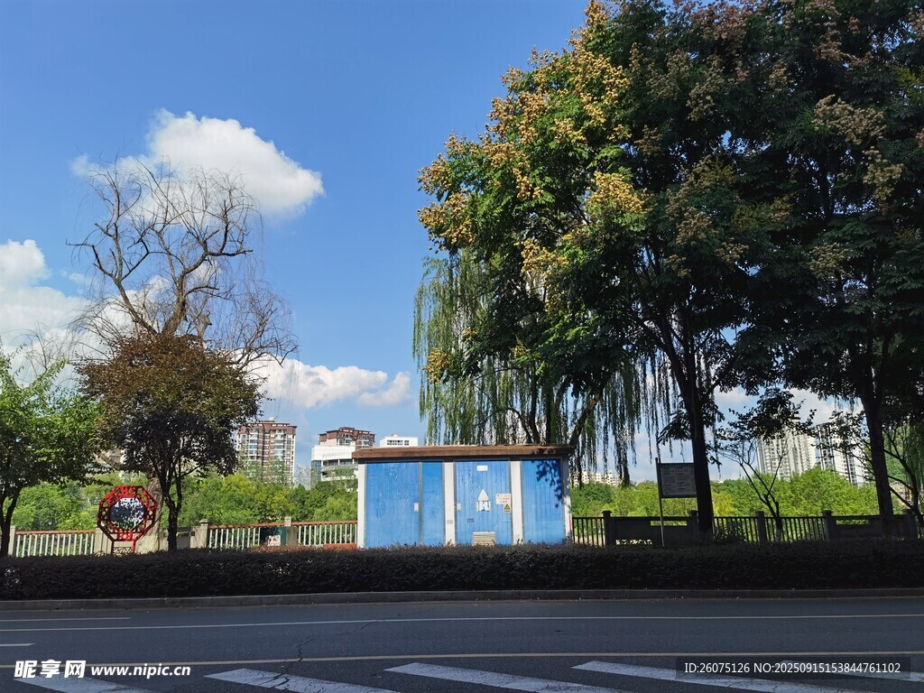 路邊藍房與綠樹景觀