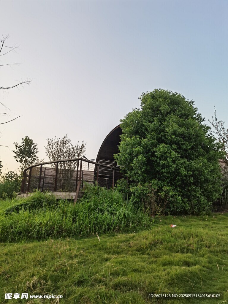 鄉(xiāng)村野外的小屋與綠植