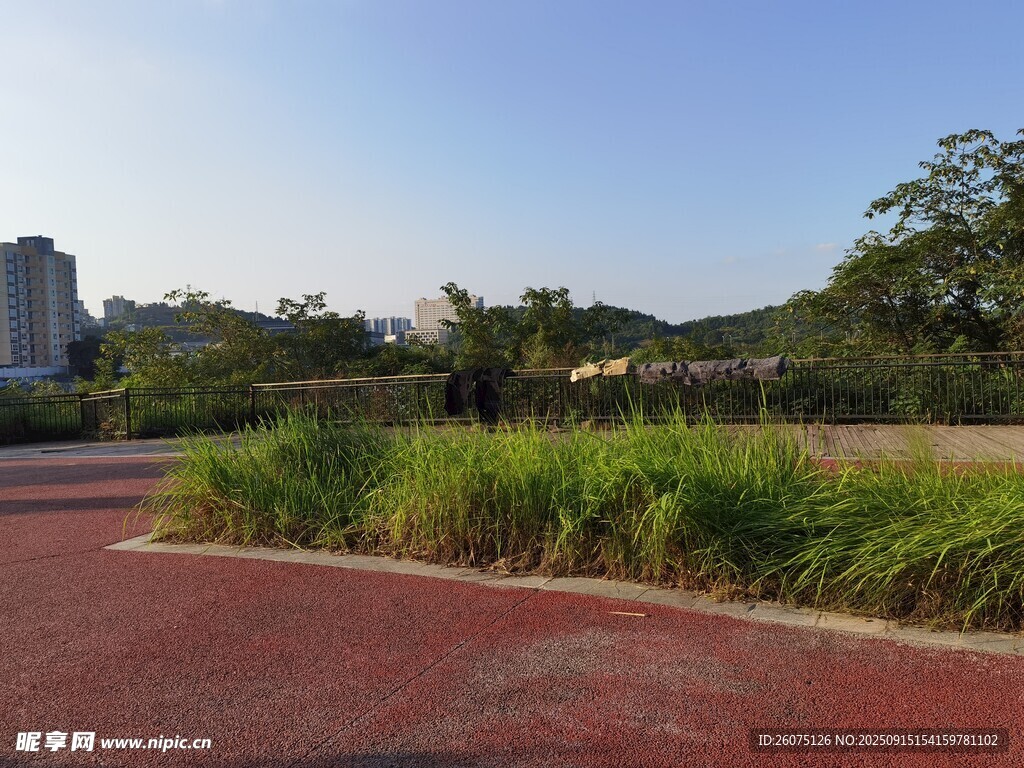 城市公園中的紅色步道景觀