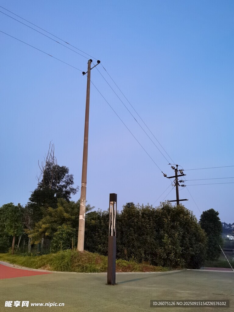 戶外電線桿與綠植景觀