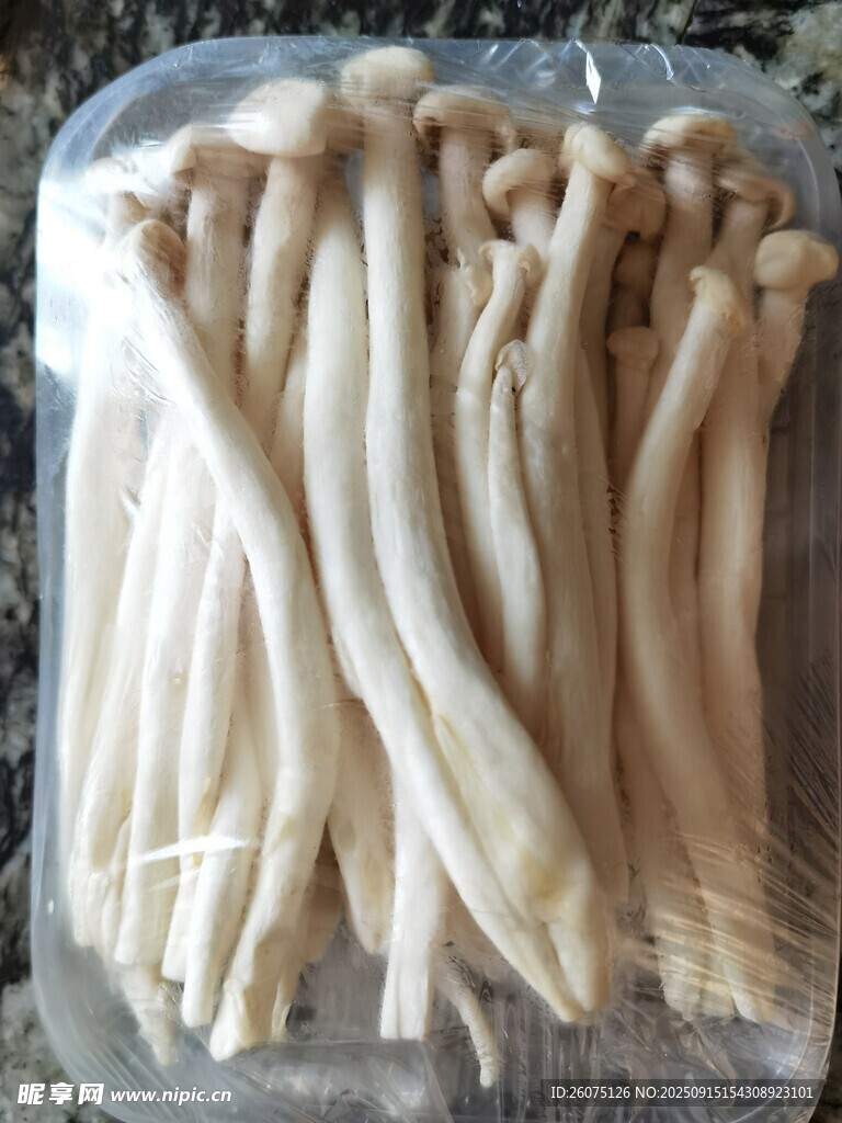 新鮮白玉菇包裝展示