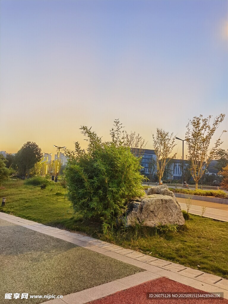 戶外美麗綠植景觀場景