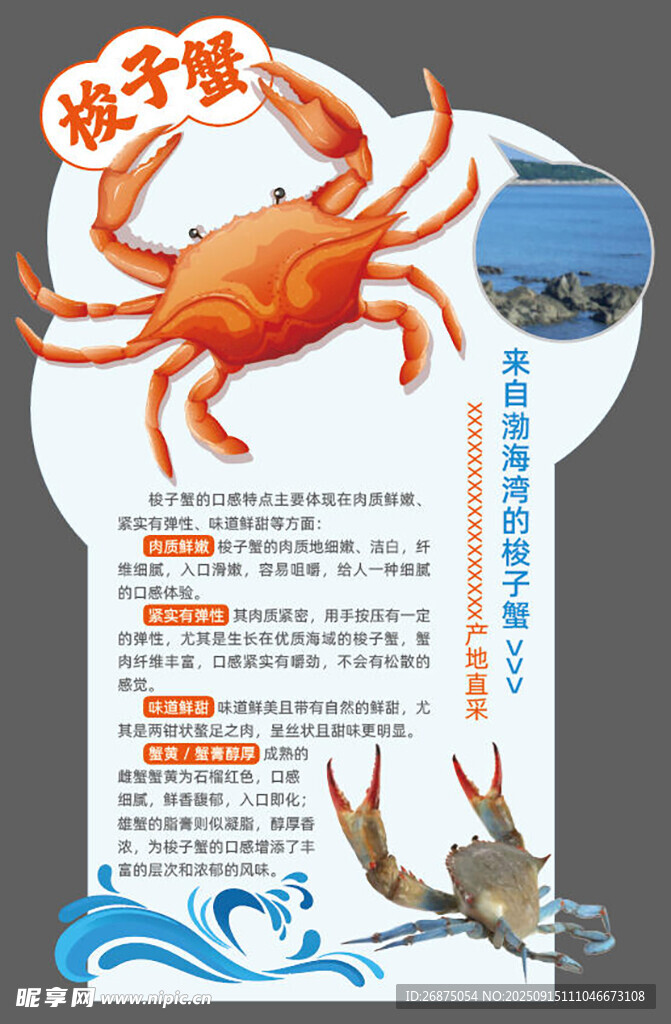 梭子蟹 氛圍 主題方案