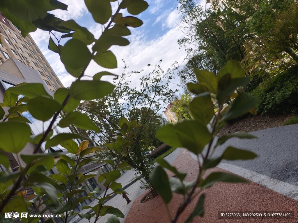 綠葉掩映下的戶外景致