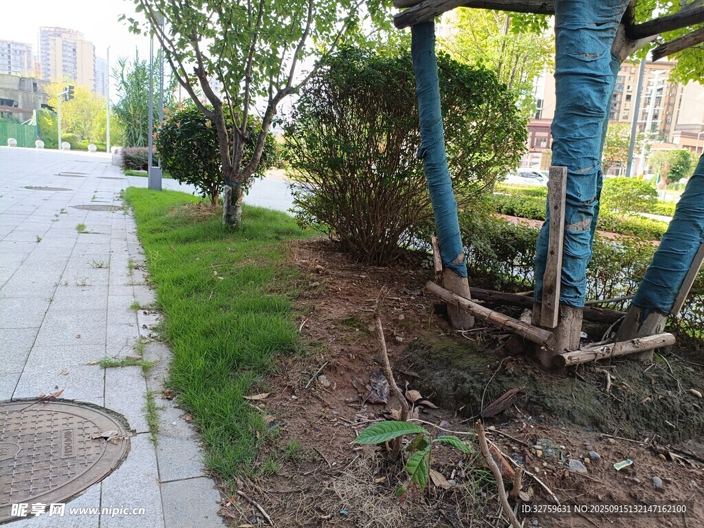 城市街邊綠植與防護設(shè)施