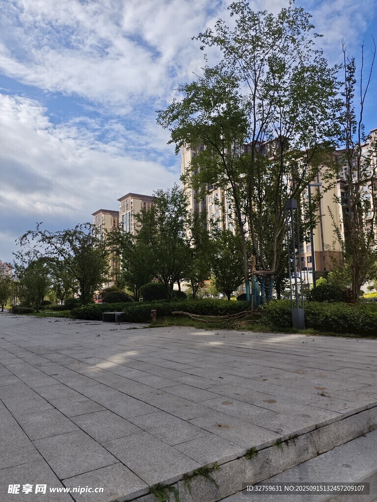 城市街道旁的綠樹與建筑