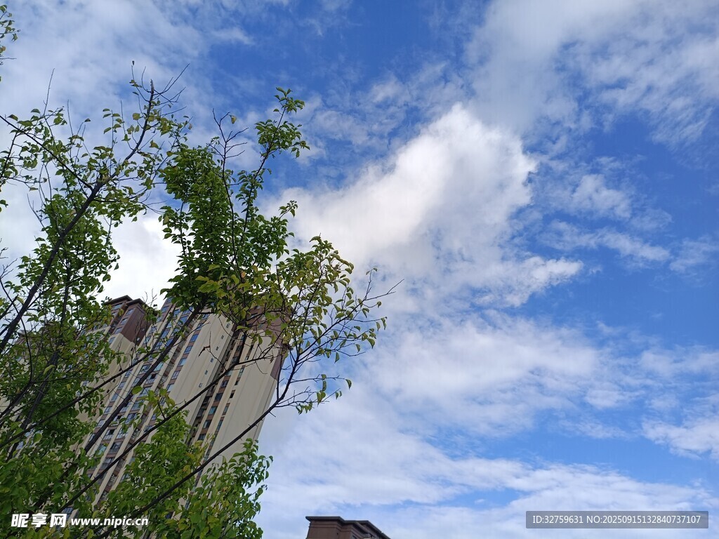 藍天白云下的殘垣綠植