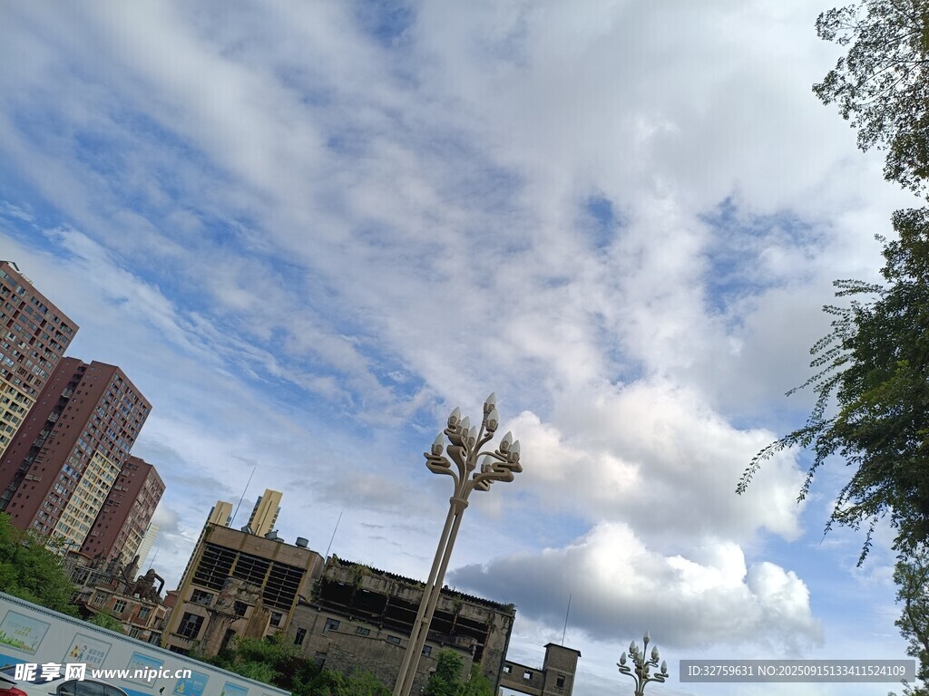 城市天空下的建筑與樹木