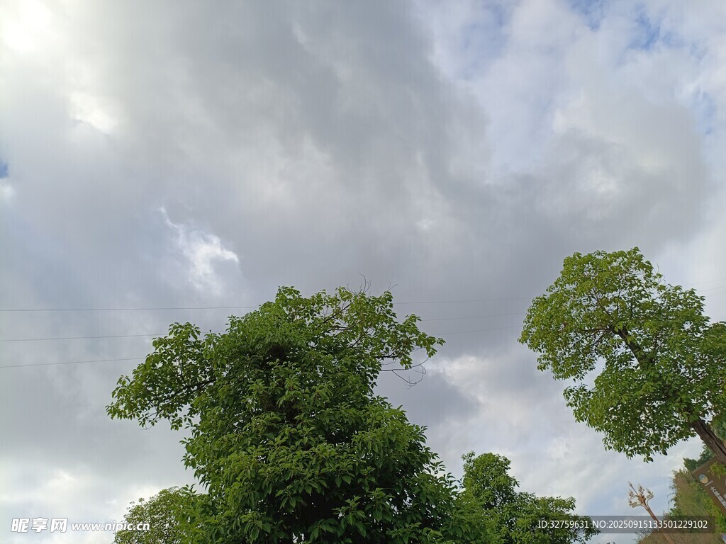 綠樹之上的多云天空