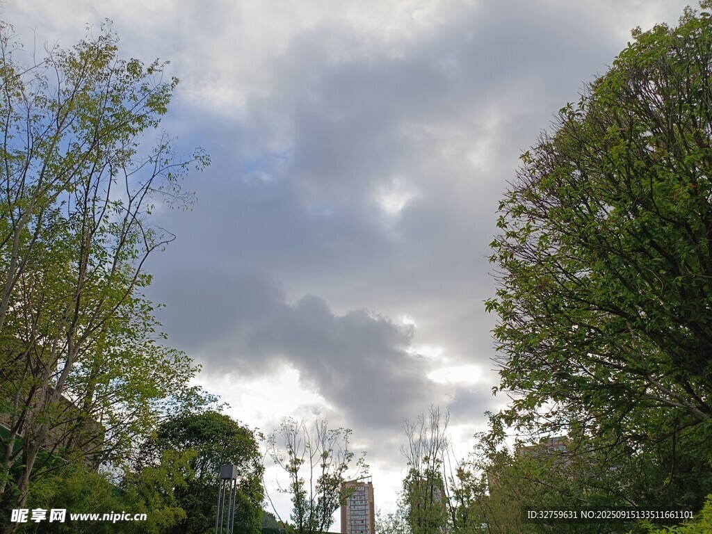 林間天空 