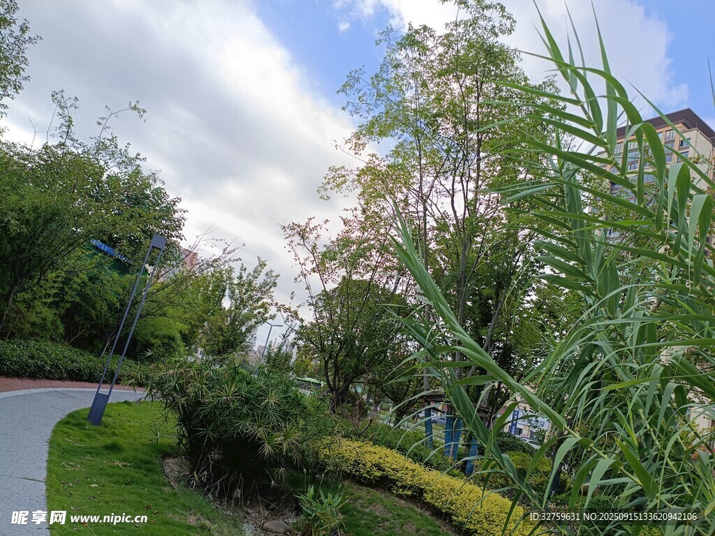 花園小徑旁的多彩植物景觀