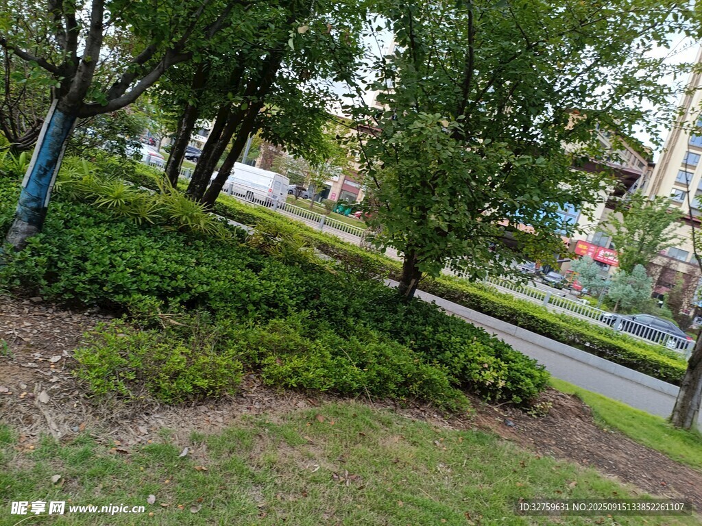 城市街邊綠意盎然景致