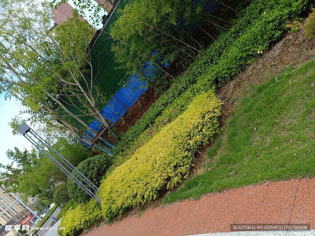 城市中的綠植景觀