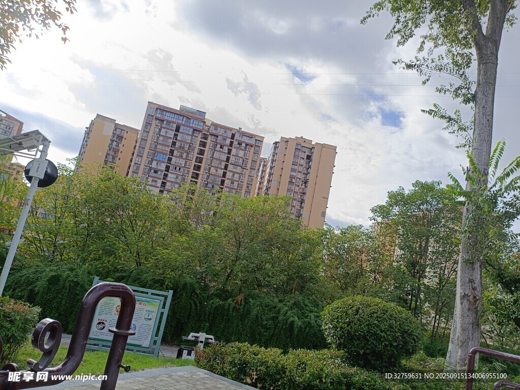 小區(qū)旁的綠植與高層景觀