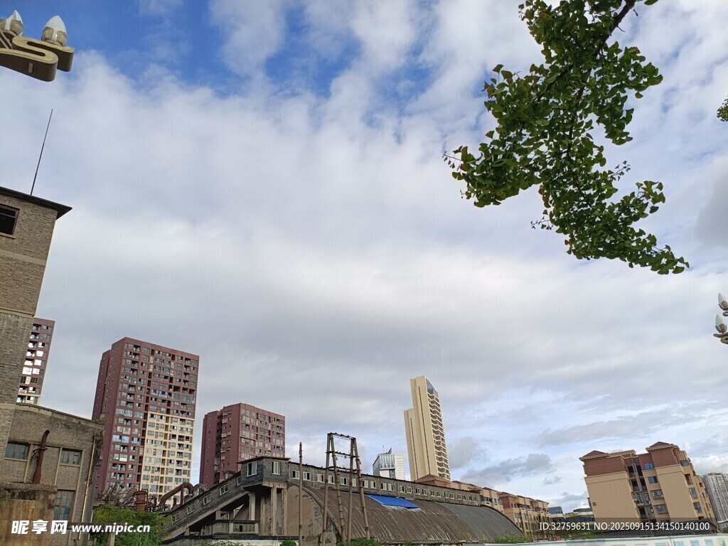 城市景觀中的高樓與綠樹