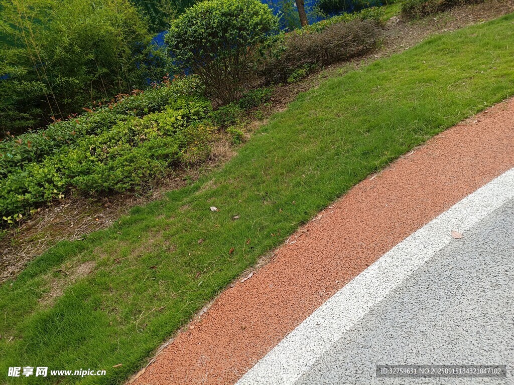 公園小徑旁的綠植景觀