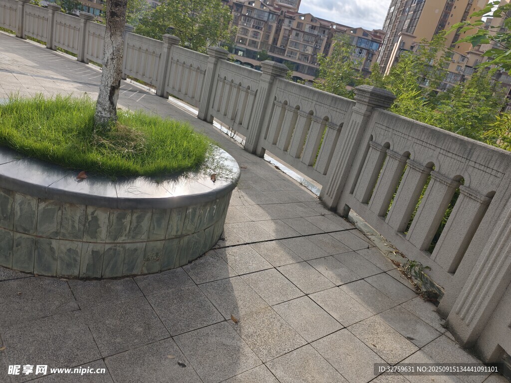 城市街邊的綠化與圍欄景觀
