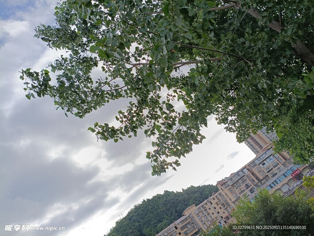 綠樹映襯下的建筑風(fēng)景