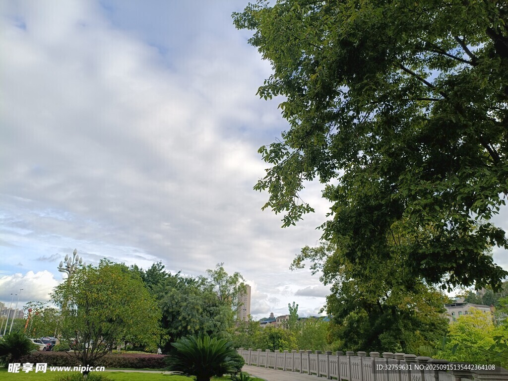 戶外綠樹成蔭的風景
