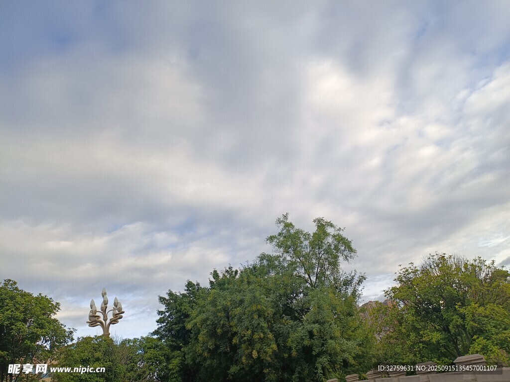 藍天白云下的綠樹風景