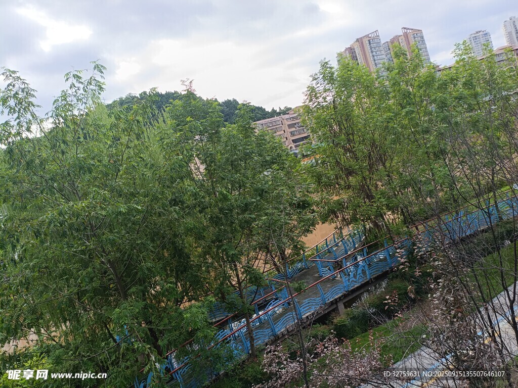 林間廢棄鐵軌場景