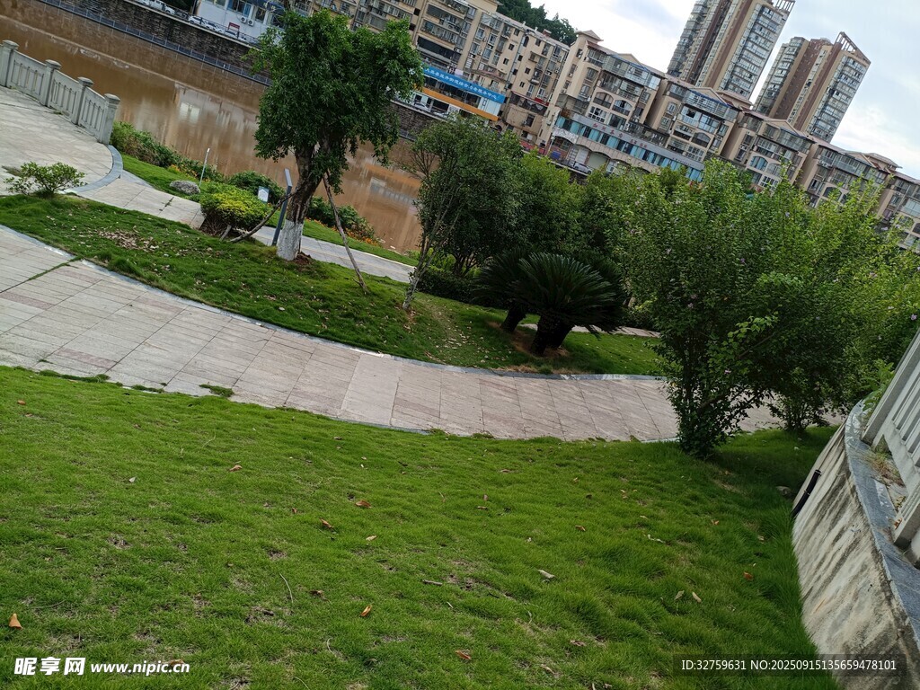 城市中的綠意公園景觀