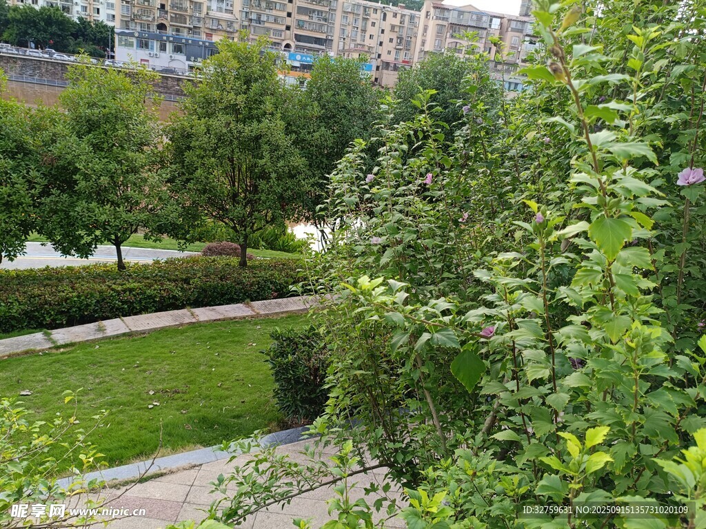城市中的綠意盎然花園