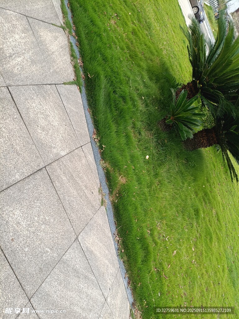 石板路旁綠意盎然的草地