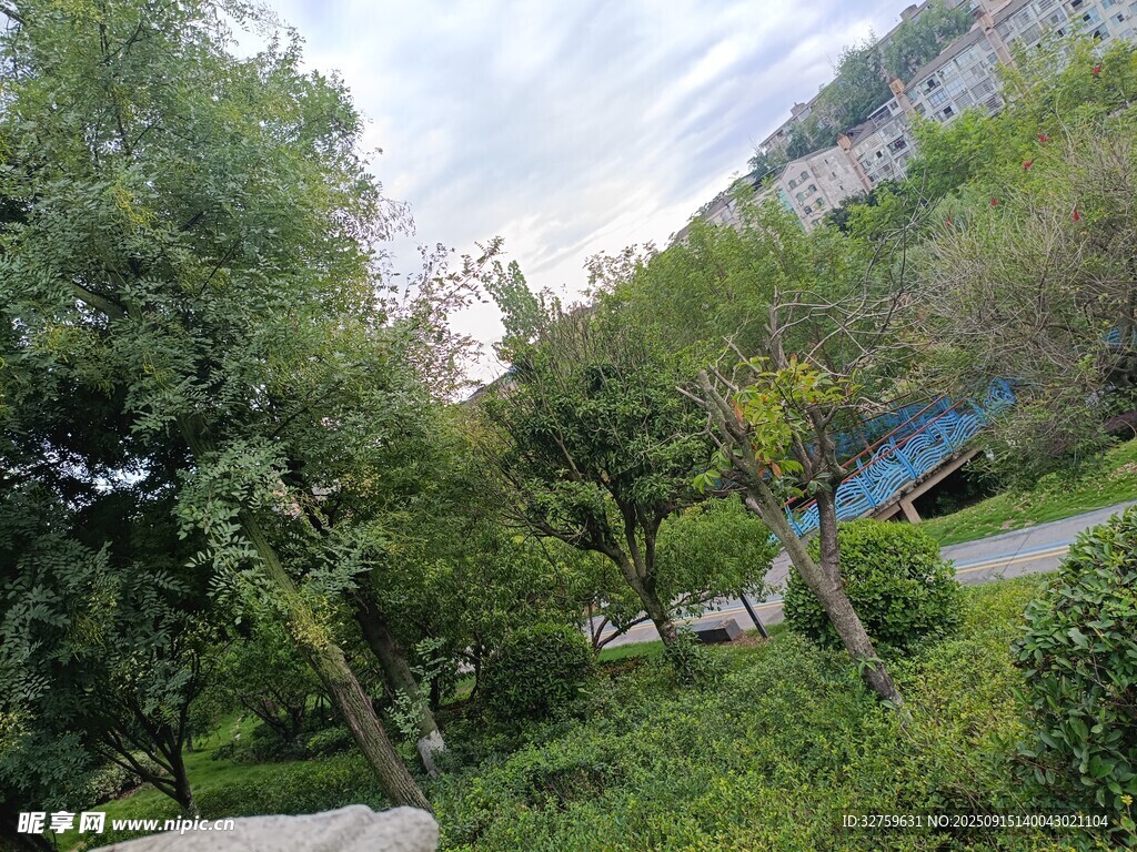 山間綠意盎然的自然景致