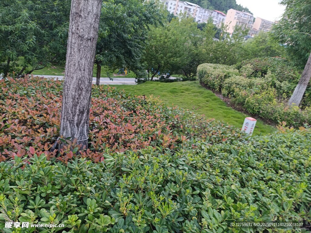 城市中的綠意盎然景觀