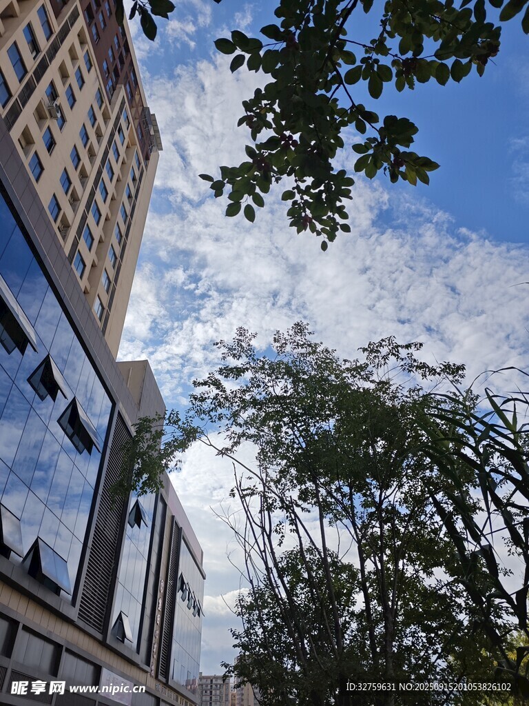 城市中高樓與綠樹(shù)相映