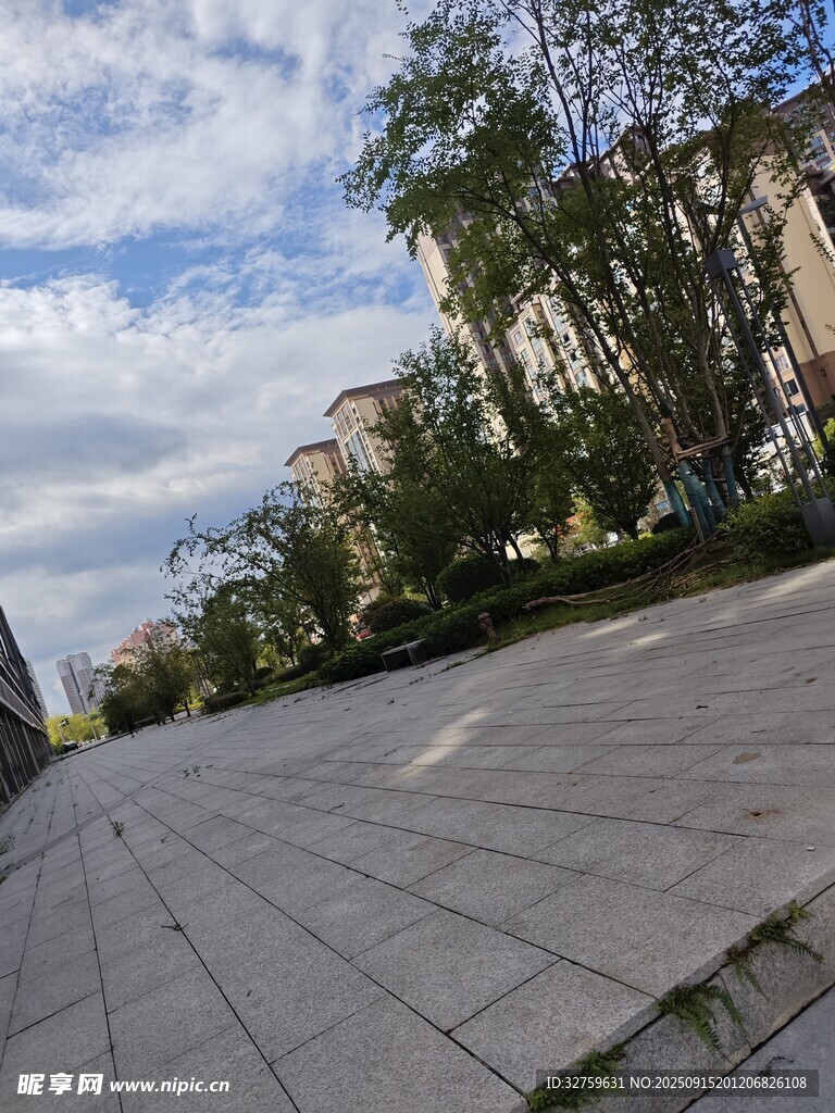 城市中開闊的林蔭步道