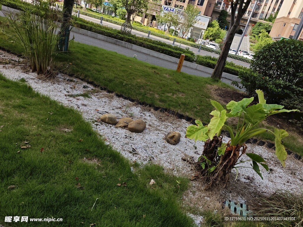 庭院綠植景觀一角