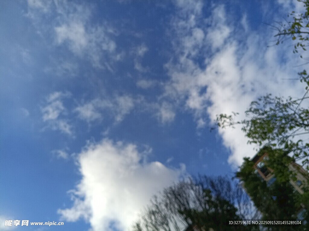 藍天綠樹間的白云美景