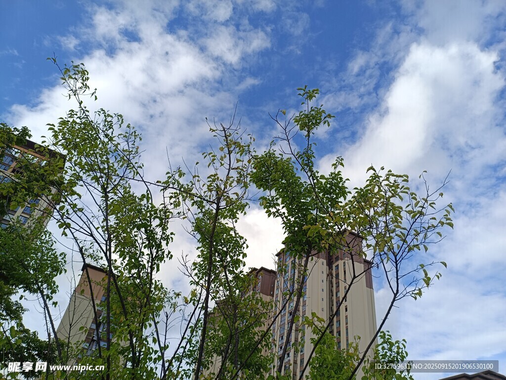 藍天白云下的綠植與建筑