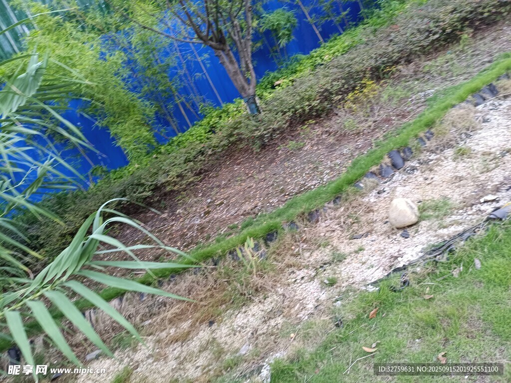 戶外綠植旁的泥土小徑