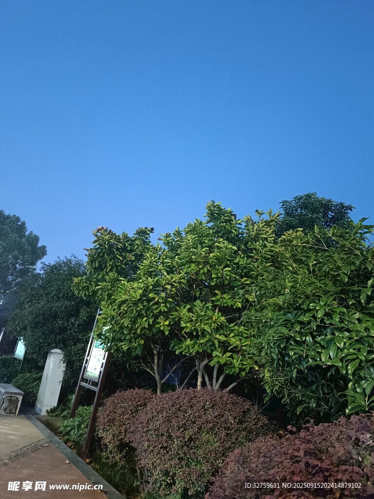 藍(lán)天綠樹旁的優(yōu)美景致